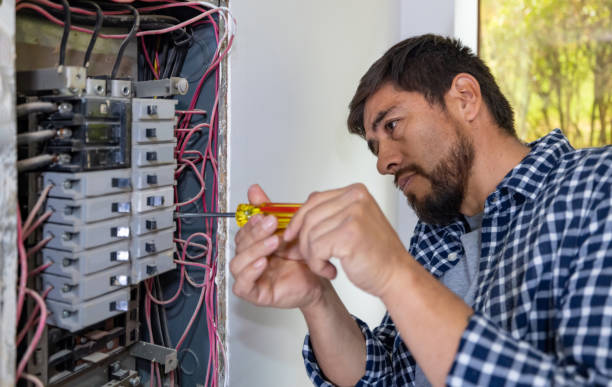 Best Electric Panel Repair  in Viola, NY